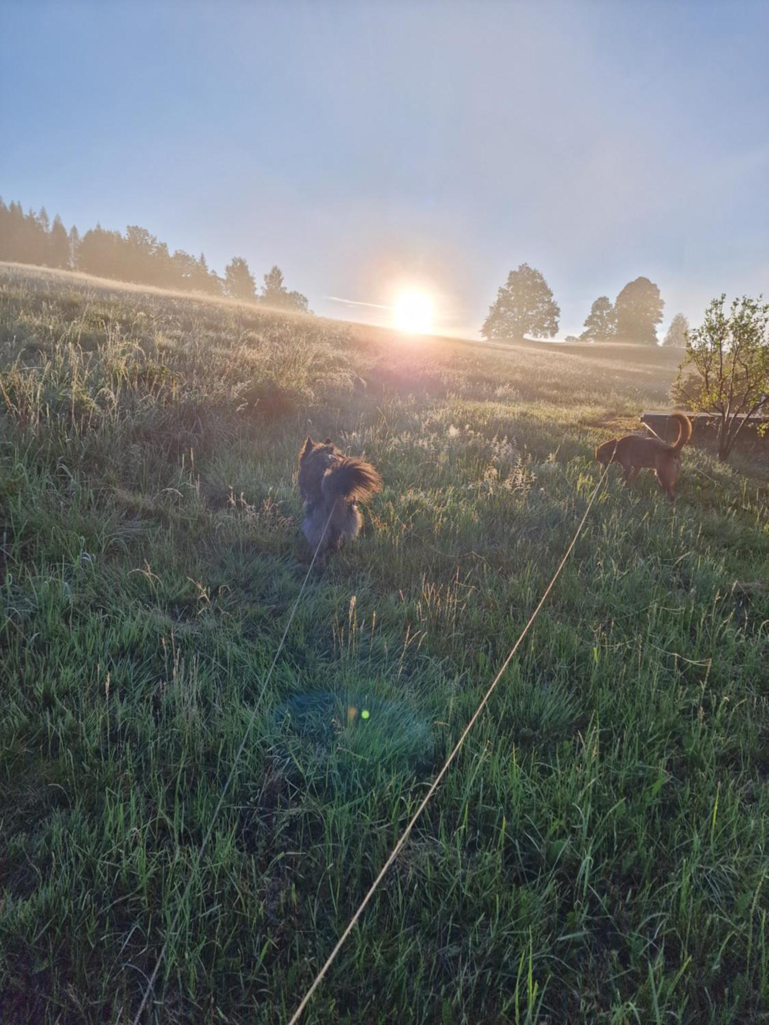 Agro Na Gorce Villa Barcinek Bagian luar foto