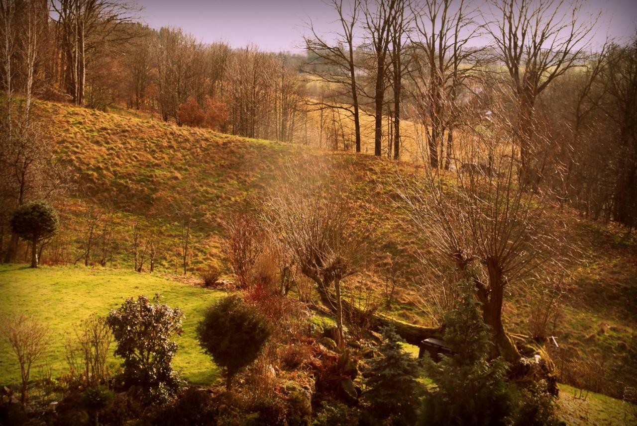 Agro Na Gorce Villa Barcinek Bagian luar foto
